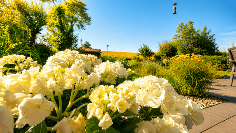 f�r Gartenliebhaber... Maisonettewohnung Mettmann