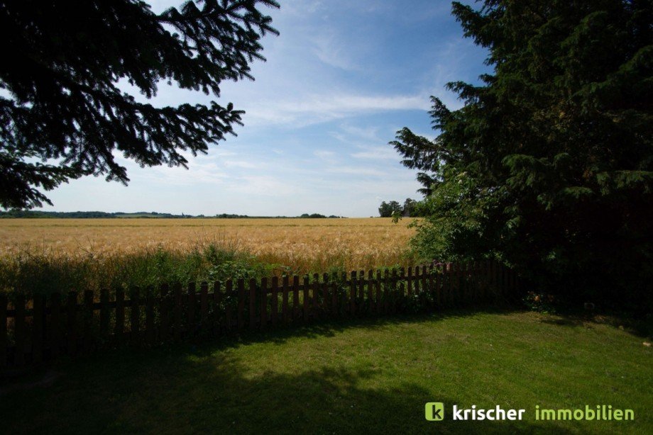 Blick ins Naturschutzgebiet Einfamilienhaus Ratingen