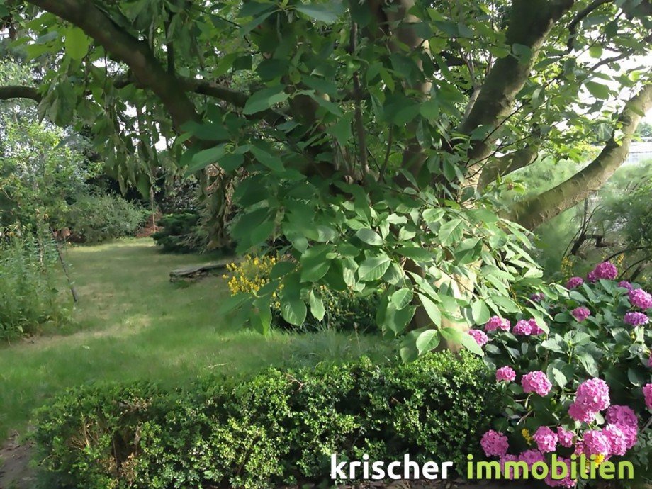  Grundst�ck D�sseldorf