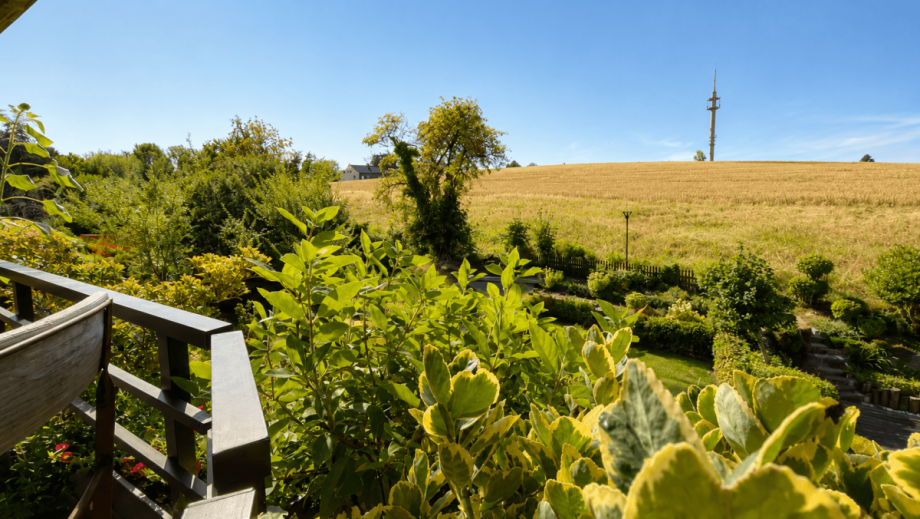 Blick vom Balkon Maisonettewohnung Mettmann