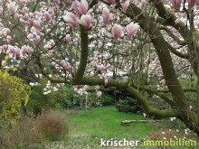  ***Gelegenheit***D�sseldorf Hamm - tolles Grundst�ck zu kaufen - 3 Minuten fussl�ufig zum Rhein