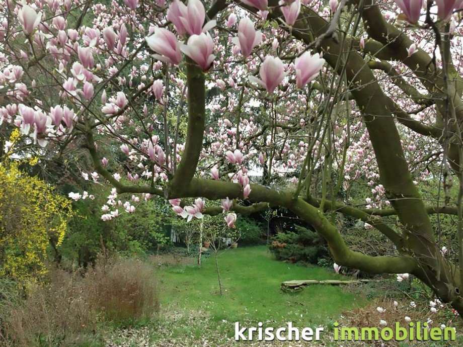  Grundst�ck D�sseldorf