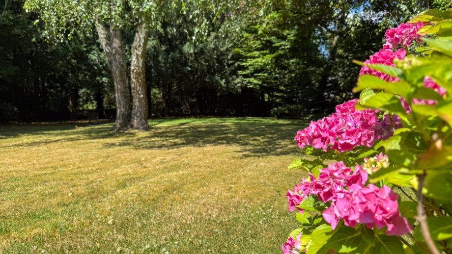 Garten Einfamilienhaus D�sseldorf