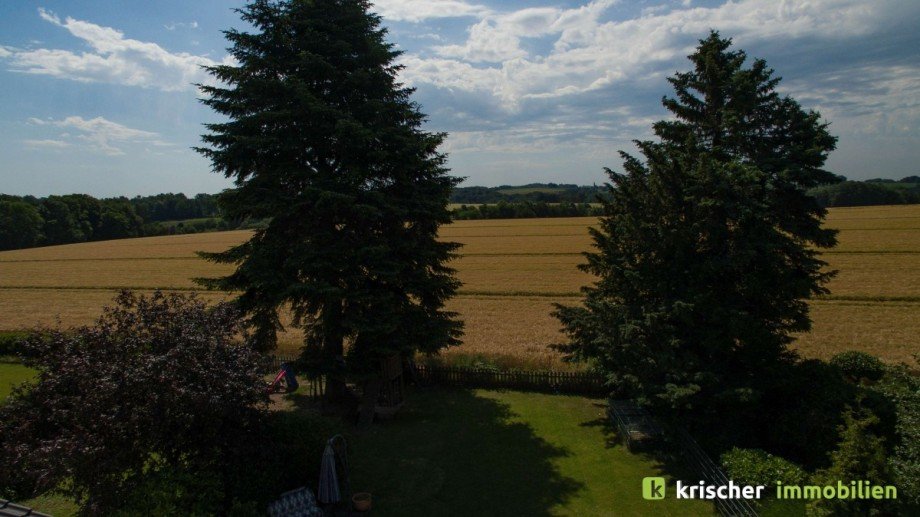 Blick ins Naturschutzgebiet Einfamilienhaus Ratingen