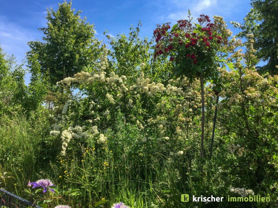 Garten Einfamilienhaus W�lfrath