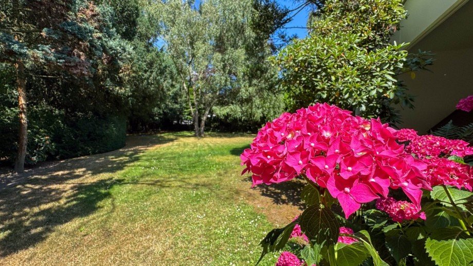Garten Einfamilienhaus D�sseldorf